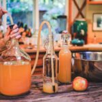 cider brewing kits