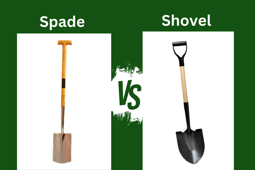 Shovels and Spades: Which Tool is Best for Your Garden