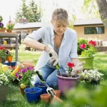 Gear Up Your Garden Tools: The Complete Toolbox for Planting Success