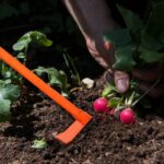 The Ins and Outs of Using a Garden Hoe Effectively