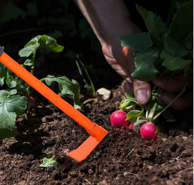 The Ins and Outs of Using a Garden Hoe Effectively